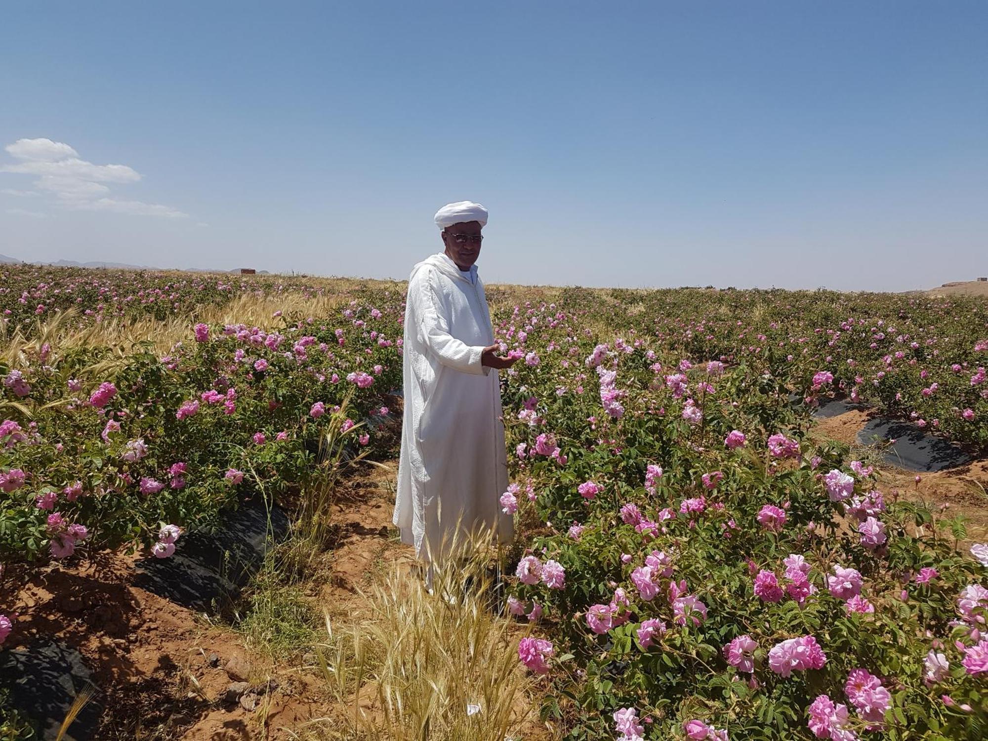 Kasbah Ait Kassi 호텔 Boumalne 외부 사진