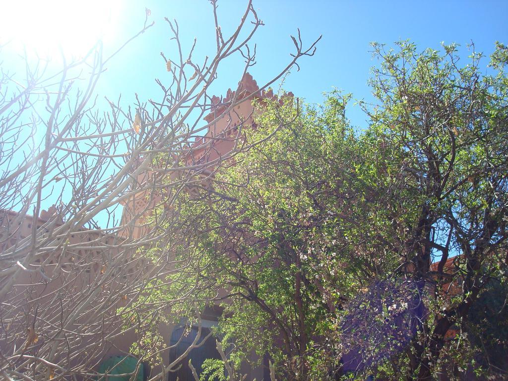 Kasbah Ait Kassi 호텔 Boumalne 외부 사진