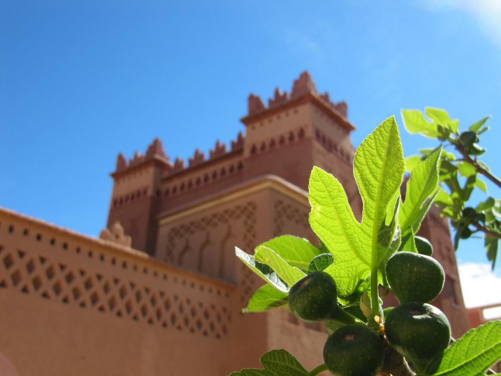 Kasbah Ait Kassi 호텔 Boumalne 외부 사진